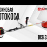 Бензиновая мотокоса EVOline BCG 33 ES