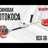 Бензиновая мотокоса EVOline BCG 36 (4T)