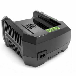 Зарядное устройство Greenworks 82V G82C