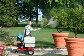 Опрыскиватель бензиновый Eurosystems Carry Sprayer