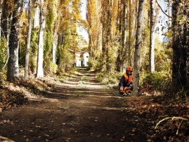 Бензопила Husqvarna 445e II New