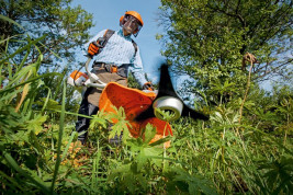 Мотокоса STIHL FS 131 с двухлопастным ножом 41802000572