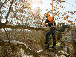 Бензопила STIHL MS 151 TC-E 12" 11462000058