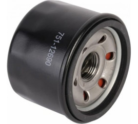 Фильтр масляный Patriot для генераторов GP 15010ALE, GRA 12000AWS