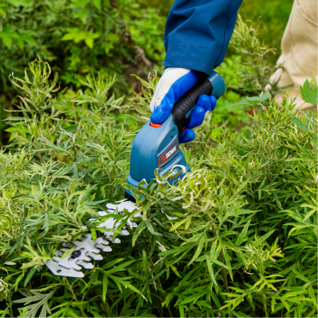 Кусторез аккумуляторный SENIX GSS1-L-EU