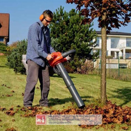 Воздуходувка ручная Oleo-Mac BV 300