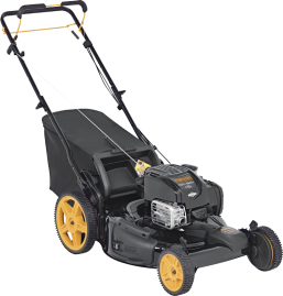 Газонокосилка бензиновая Parton PA725Y22RHP