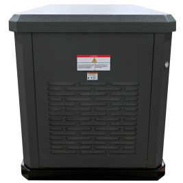 Газовый генератор EVOline GNG 9350 E
