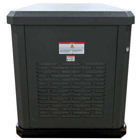 Газовый генератор EVOline GNG 9350 E