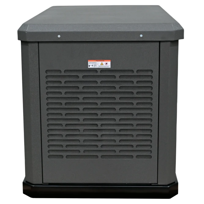 Газовый генератор EVOline GNG 9350 E