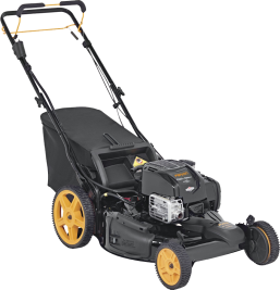 Газонокосилка бензиновая Parton PA675Y22RHPE