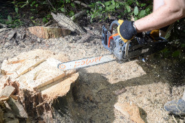 Бензопила Daewoo DACS 5820XТ