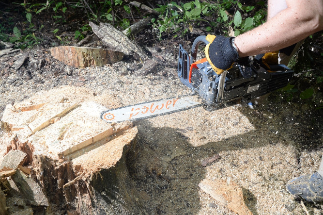 Бензопила Daewoo DACS 5820XТ