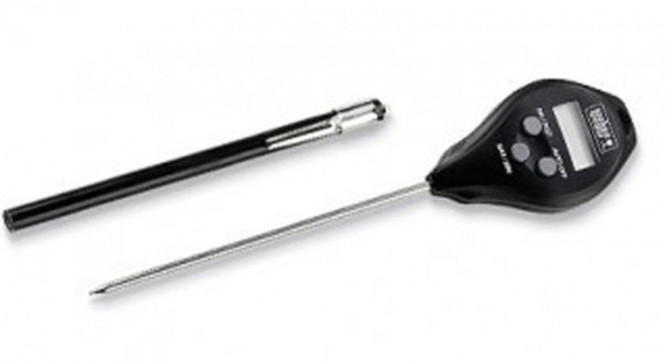 Электронный термометр в Екатеринбурге