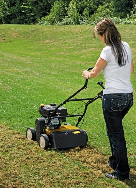 Вертикуттер бензиновый Cub Cadet XC1 B35