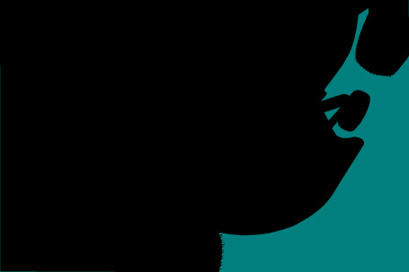 Газонный трактор solo by AL-KO T 16-102.6 HD V2