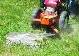 Измельчитель пней BEAR CAT ECHO SG340