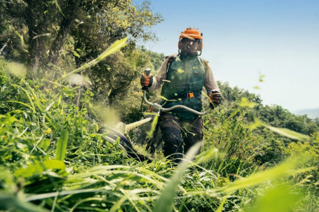 Мотокоса STIHL FS 56