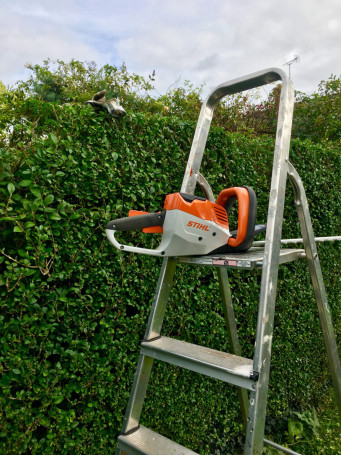 Мотоножницы STIHL HSA 56