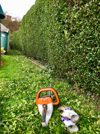 Мотоножницы STIHL HSA 56