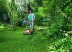 Аэратор STIHL RLE 240.0 электрический
