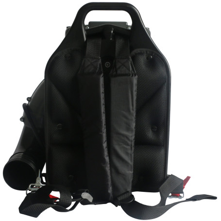 Бензиновая ранцевая воздуходувка EVOline BLG 80 BP