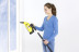 Удлинительный комплект для WV Karcher 2.633-111.0
