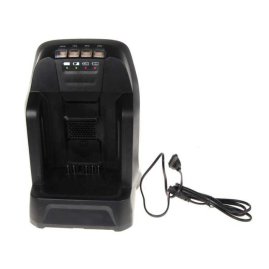 Зарядное устройство быстрой зарядки CAIMAN