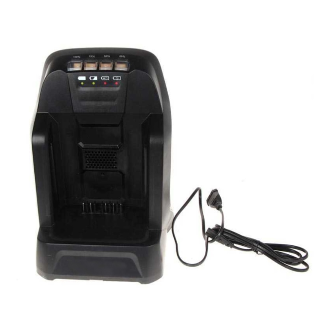 Зарядное устройство быстрой зарядки CAIMAN