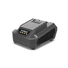 Зарядное устройство Caiman ENO C6025