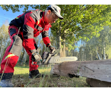 Бензопила ZimAni MS250 PRO 16'