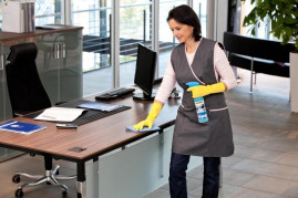 Профессиональное чистящее средство для поверхностей интерьера CA 30 R, 0,5л Karcher 6.295-708.0