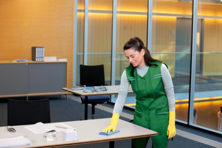 Профессиональное чистящее средство для полов CA 50 C, 1л Karcher 6.295-683.0