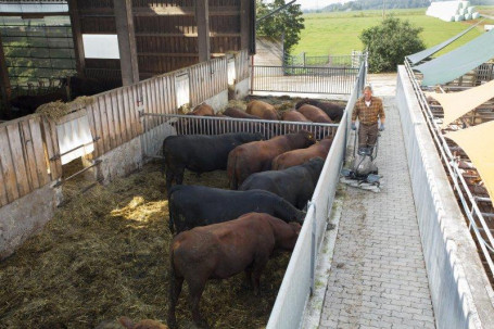 Подметальная машина Karcher KM 80 W G  1.335-500.0