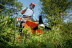 Мотокоса STIHL FS 250