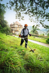 Мотокоса STIHL FS 250