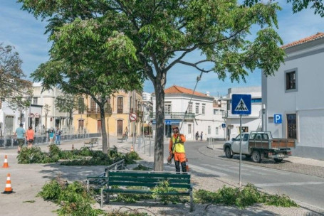 Аккумуляторный высоторез HUSQVARNA 536LiPT5 9673413-10