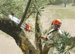 Высоторез HUSQVARNA 525PT5S 9673296-01