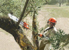 Высоторез HUSQVARNA 525PT5S 9673296-01