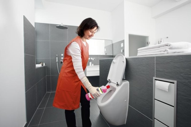 Профессиональное чистящее средство для санузлов CA 10 C, 1л Karcher 6.295-677.0