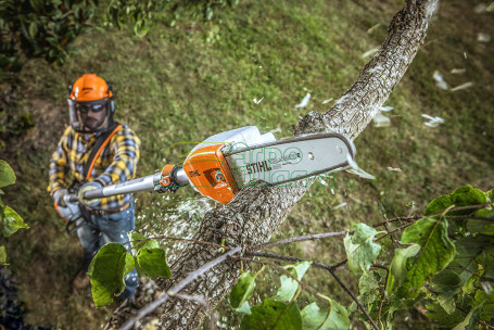 Аккумуляторный высоторез STIHL HTA 85 с AP 300 и AL 300