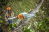 Аккумуляторный высоторез STIHL HTA 85 с AP 300 и AL 300