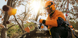 Бензопила STIHL MS 150 TC-E 10"