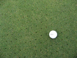 Сеялка Redexim Speedseed 1600