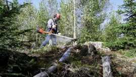 Кусторез бензиновый HUSQVARNA 545Fx 9660156-01